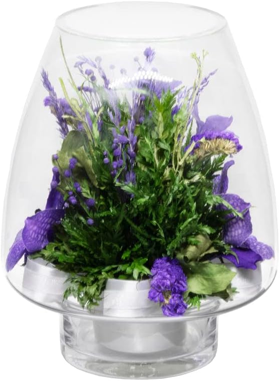 Fiora Flower | Long Lasting Orchids| Lasts up to 5 Years | No Water Need | Allergy Free | Odor Resistant | Unique Present Gift