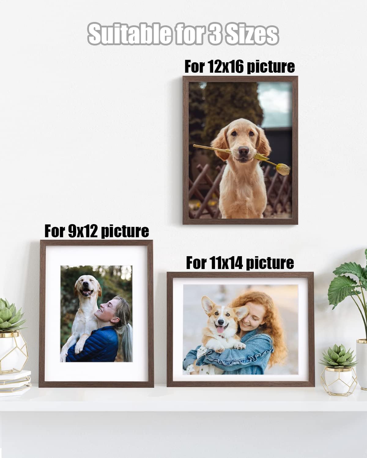 Egofine 12x16 Picture Frames Set of 4, Made of Solid Wood Covered by Plexiglass 9x12 and 11x14 with Mat or 12x16 without Mat, for Wall Mounting Photo Frame Brown