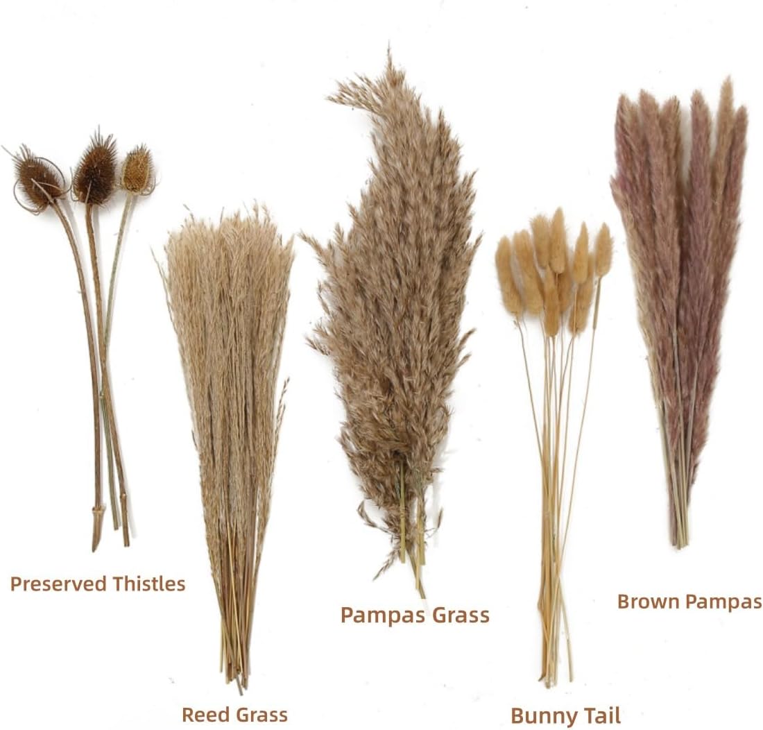 Dried Flowers Bouquet,Pampas Grass for Boho Decor,Rustic Farmhouse Flower for Bohemian Home,Bedroom,Living Room,Wedding Table Centerpieces(Bouquet C)