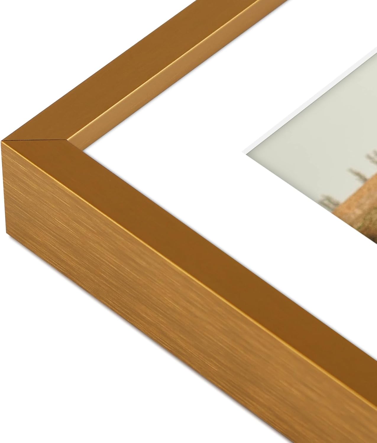 Frametory - 12x16 Aluminum Collage Picture Frame - Display 5x7 Pictures with 4 Openings Mat - Real Glass Front - Horizontal/Vertical Wall Mount - Bronze 1 Pack