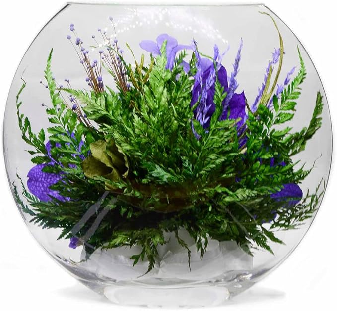 Fiora Flower | Long Lasting Orchids| Lasts up to 5 Years | No Water Need | Allergy Free | Odor Resistant | Unique Present Gift