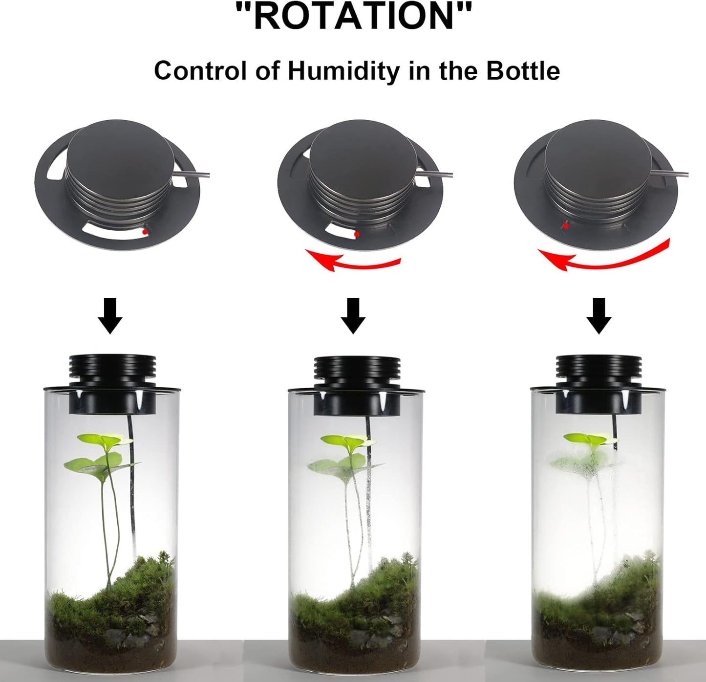 Desktop Glass Plant Terrarium with Grow Light (H:7.8" D:4"), for Succulent, Moss, Miniature Gardening Landscape, Betta Fish Tank, Office Home Decoration, Plant Lovers Gifts