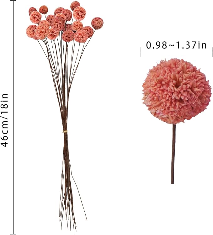24 PCS Dried Craspedia Billy Balls Flowers, 18” Natural Dried Flowers Bouquet for Vase Floral Arrangements Wedding Table Centerpieces Party DIY Home Decor (Pink)