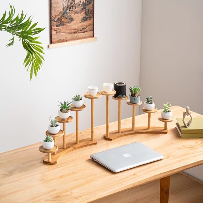 5 Tiers Desk Plant Stand Window Sill Plant Shelf Tabletop Succulent Stand Flower Pot Stand Holder Desktop Plant Stand Indoor Plant Rack for Succulent Herb in Living Room Office (Circle)