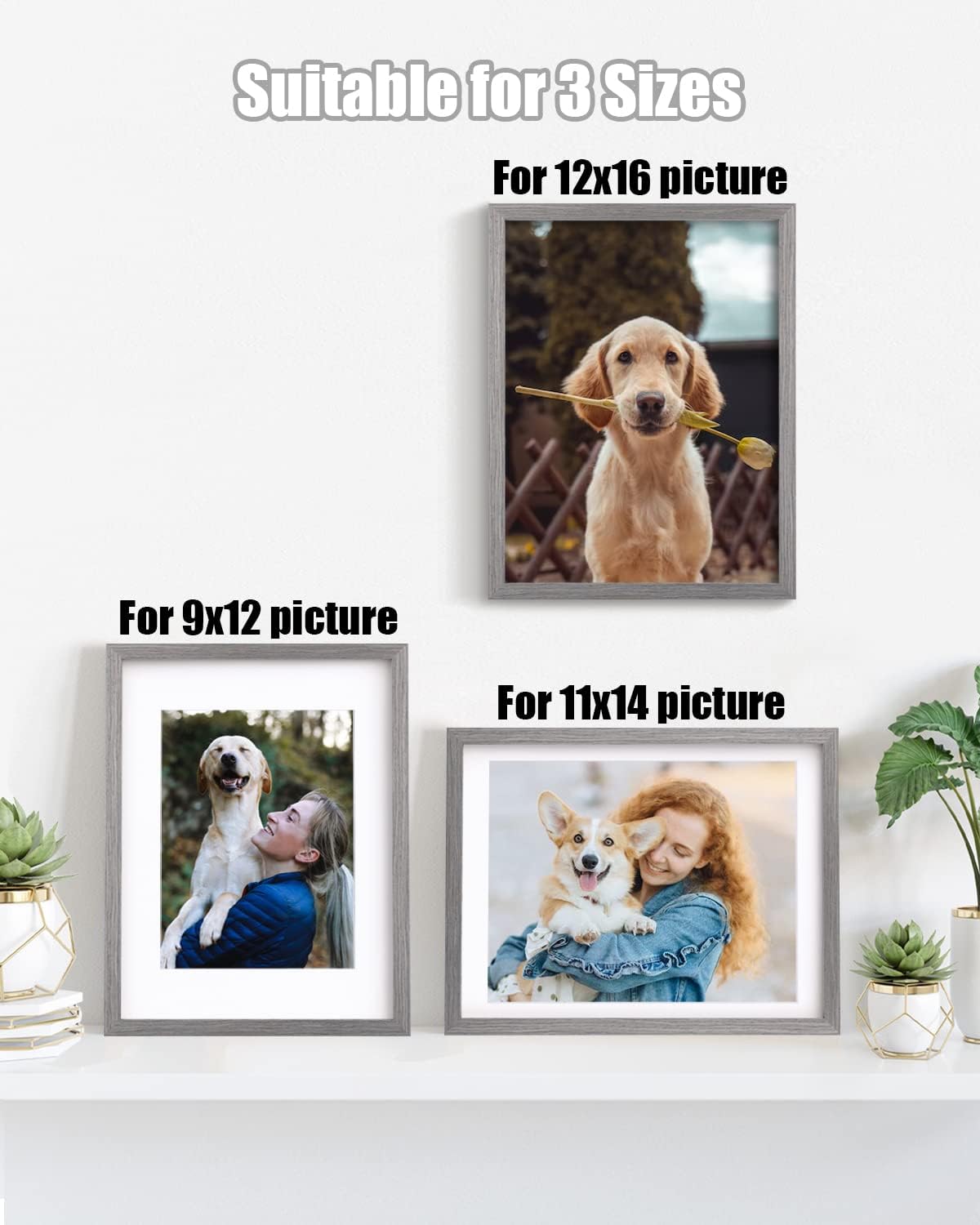 Egofine 12x16 Picture Frames Set of 4, Made of Solid Wood Covered by Plexiglass 9x12 and 11x14 with Mat or 12x16 without Mat, for Wall Mounting Photo Frame Light Grey