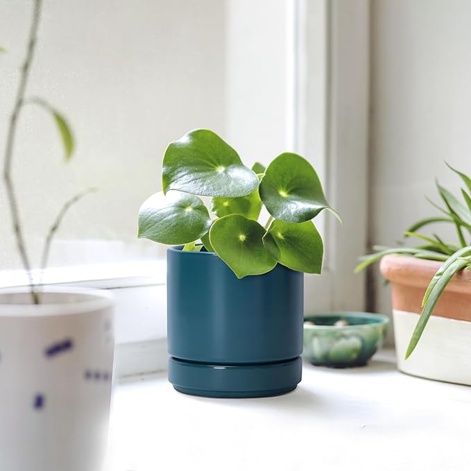 D'vine Dev 4.7 Inch Ceramic Planter Pot with Drainage Hole and Saucer, Indoor Cylinder Round Planter Pot, Teal, 94-O-B-9