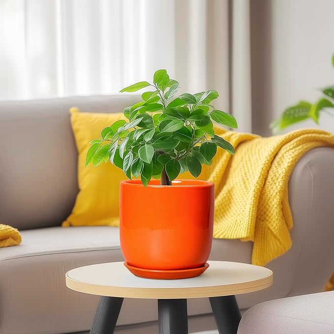 5 Inch Plant Pot - Ceramic Planter for Succulent Cactus Herbs Indoor Plants, Modern Round Flower Pot with Drainage Hole and Saucer, Gifts for Plant Lovers, Patio Office Home Decor, Orange