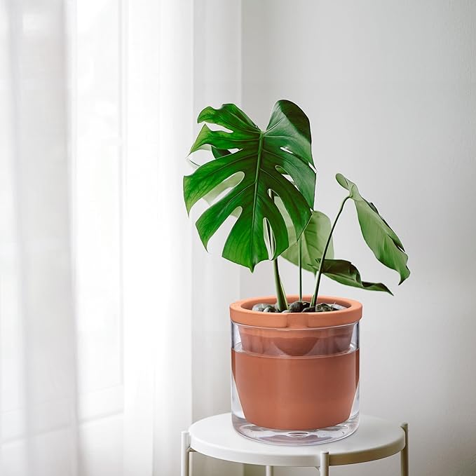 D'vine Dev 8 Inch Design Self Watering Pot for Indoor Plants, Terracotta Planter with Cylinder Glass Cup, 37-X-C-1