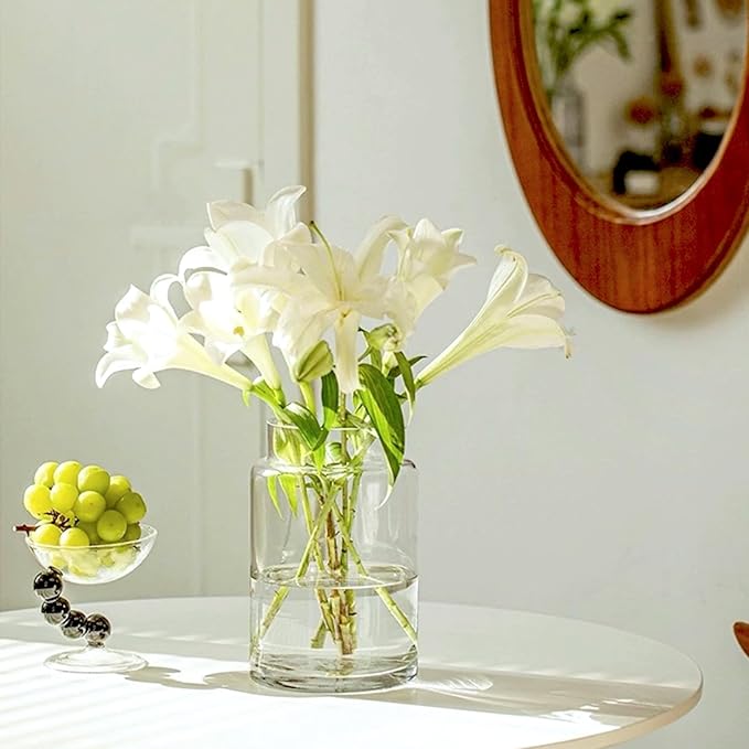 BLOFLO Clear Glass Vase, 9 Inch Large Glass Vase for Flowers, Modern Thick Glass Flower Vases for Centerpieces, Decorative Glass Cylinder Hydroponic Vase for Wedding, Home, Office (Clear, 9Inch)