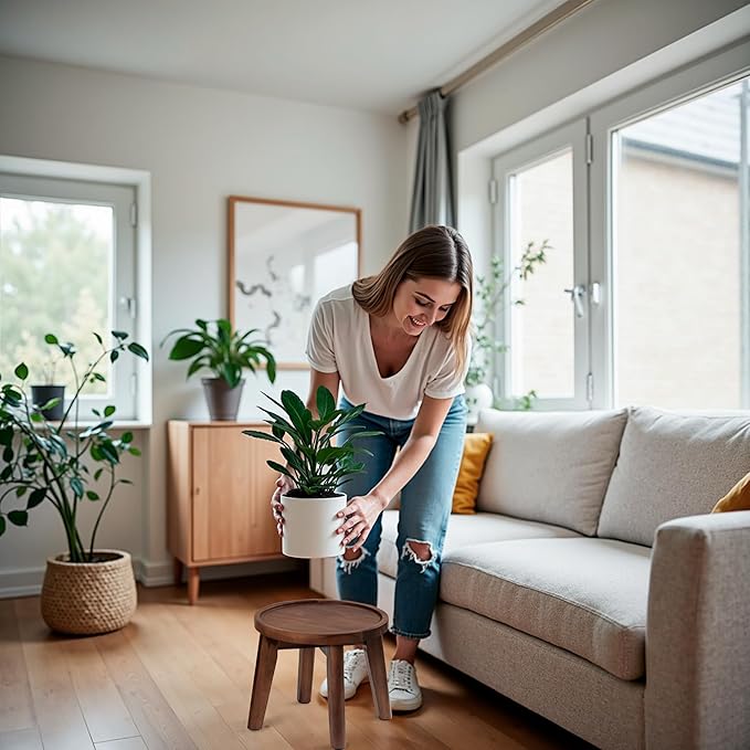 Demigo Indoor Plant Stand, Acacia Wooden Decorative Plant Shelf with Spill-Proof Tray, Stable 8” Tall Flower Holder for Heavy Pots, Gardening Display for Decor Living Room Patio - Dark Brown