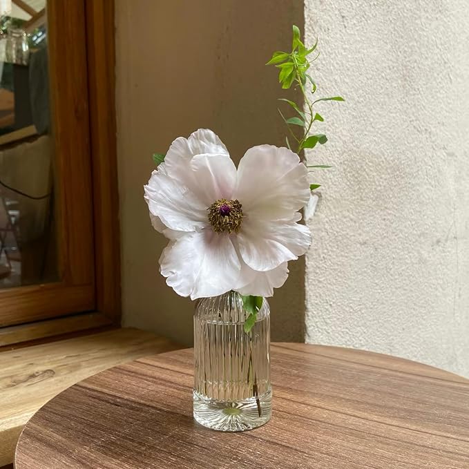 24Pcs Glass Bud Vase Set,Small Flower Vase for Tables Centerpieces Decor, Mini Vintage Clear Vase for Home,Wedding,Party Decorations(24 Pcs,Clear)