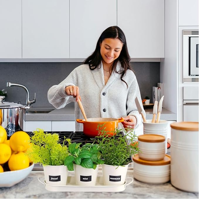 4" Herb Garden Planter Kit, Indoor Herb Planters with Tray, Set of 3 Metal Windowsill Pots for Flower Plants with Drainage Hole, Customizable Labels & Marker Pen, Beige