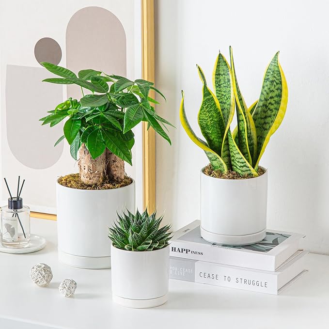 vancasso Ceramic Plant Pots, 3 Piece Planters for Indoor Plants, 4.25+5.25+6.25 Inch Flower Pots with Drainage, Plant Pots Indoor for Succulent, Pothos, Snake Plant and Money Tree, Etc (White)