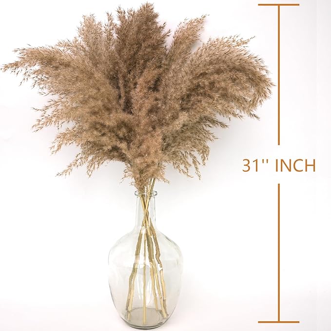 30-inch Tall Nature Pampas Grass Bouquet Decor - Boho Flowers and Feathers for Centerpieces, Perfect for Tall Floor Vase Fillers, Home Decor, Living Room, and Wedding Decor (20Pcs)