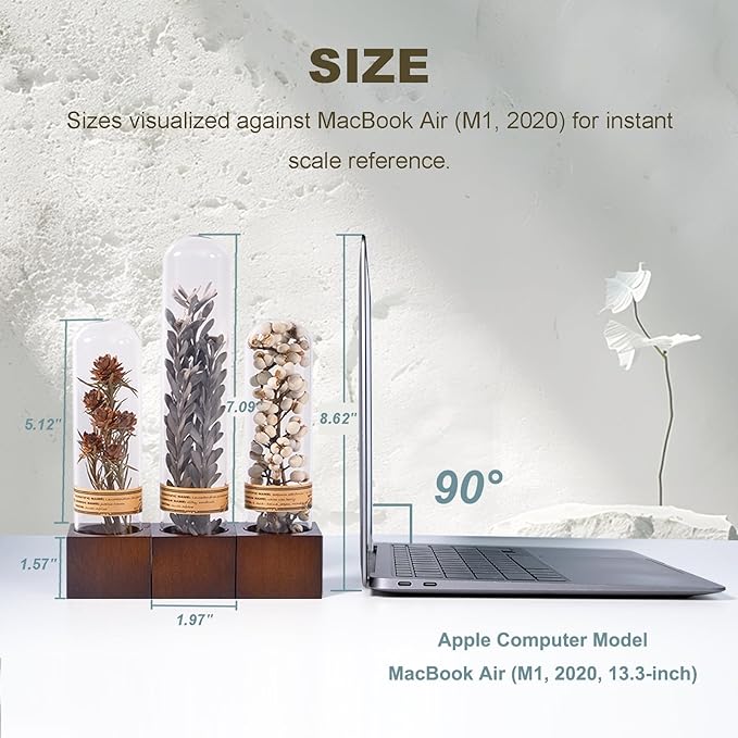 3Pcs Dried Flowers Book Shelf Decor,Boho Shelf Decor,Small Plants Decor for Office Shelves,Natural Forest Green Plants Decor with Wooden Base,Rustic Farmhouse Decor,Unique Gifts for Women,Friends