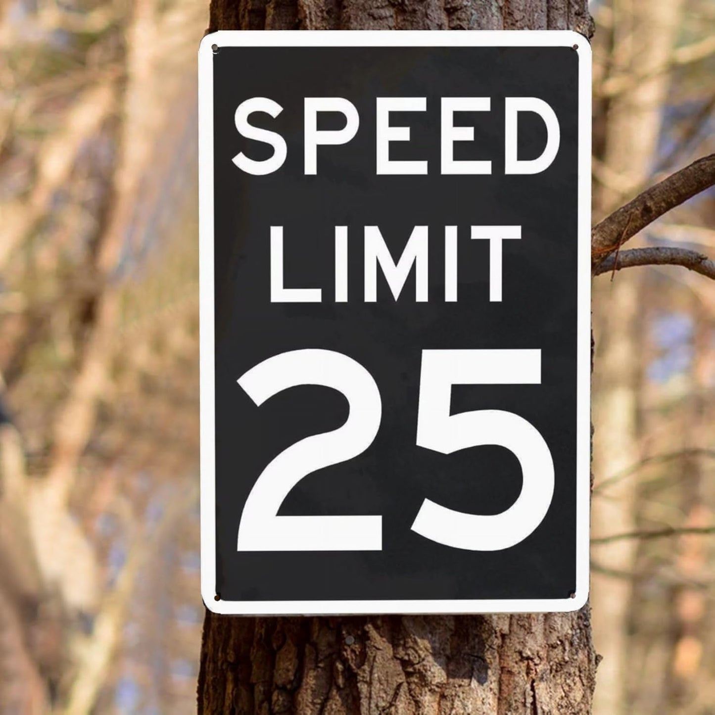Night-time Speed Limit 25 Mph Sign,Warning Traffic Road Street Metal Tin Sign,Weather/Fade Resistant Rust Free,for Indoor/Outdoor Use 12x8 Inch Vintage