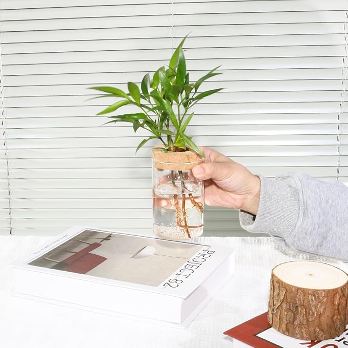 Separated Desktop Glass Flower Vases with Wooden Saucers - Ideal Plants Propagation Stations for Living Room, Bedroom Decoration,Home Decor (9)