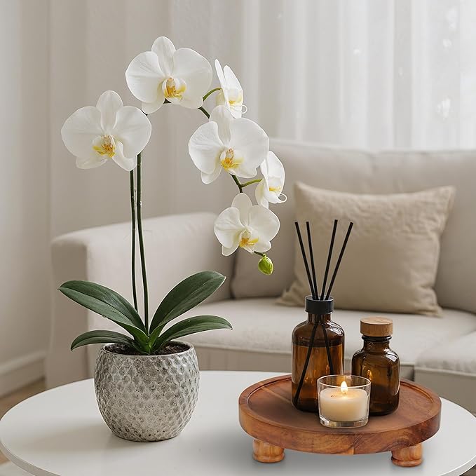 Demigo 10" Acacia Wood Round Tray - Decorative Plant Stand, Farmhouse Countertop Organizer, Multi-Purpose Display Pedestal, Riser Board for Soap, Perfume, Candles, Sponge, Bathroom, Kitchen