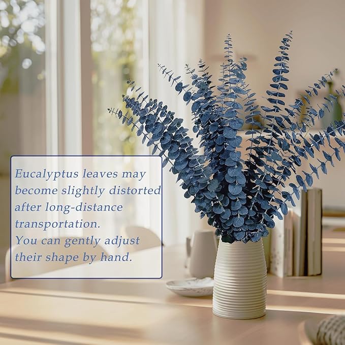 15Pcs Dried Preserved Blue Eucalyptus Stems, 100% Natural Fresh Plant, 17'' Bouquet for Floral Arrangements, Vase Fillers, Perfect for DIY Weddings Parties Home Office Shower Decor