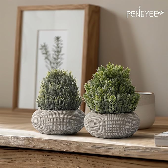 2Pack Small Fake Plants, 6.1/5.7 Inch Artificial Plants Indoor in Cement Planter, Small Faux Plants Indoor for Room Bathroom Bedroom Farmhouse Kitchen Office Home Decor