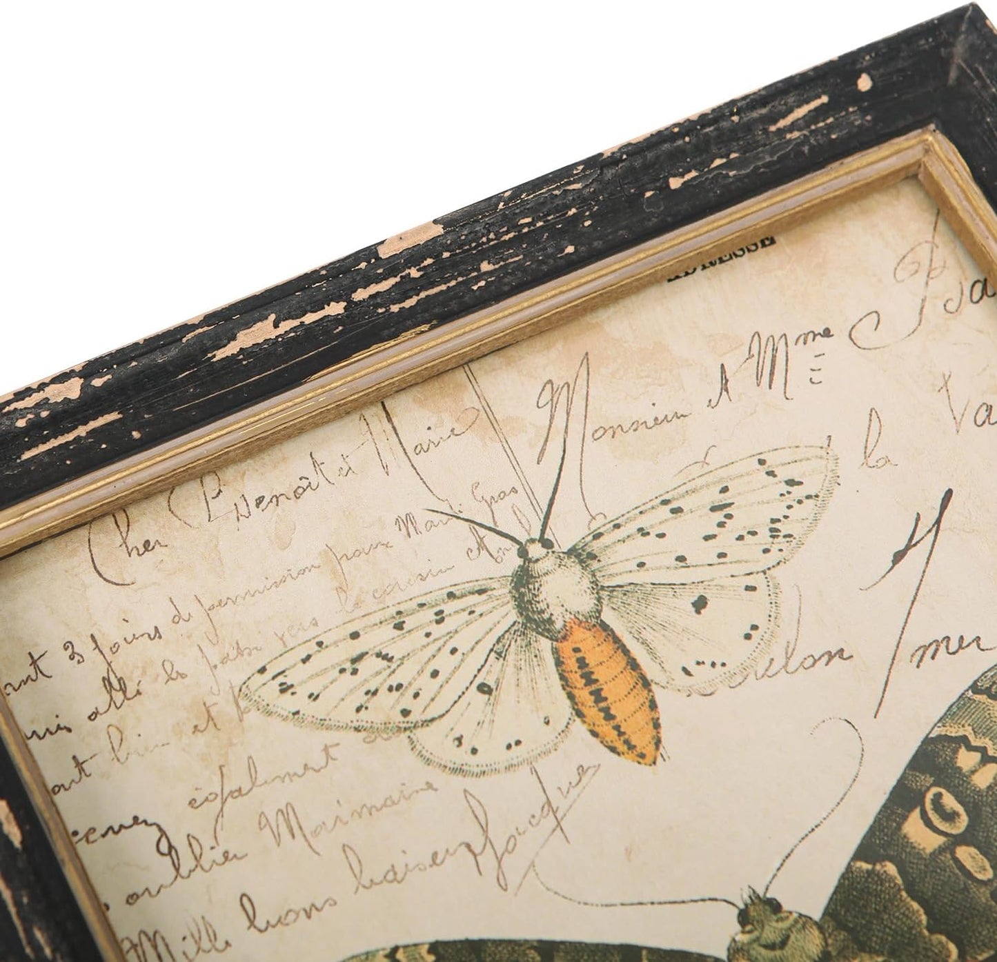 NIKKY HOME Set of 3 Vintage Butterfly Wall Art Poster Print Rustic Botanical Picture Decor Floral Plant Wooden Framed Plaque Sign for Bedroom Living Room Office Classroom