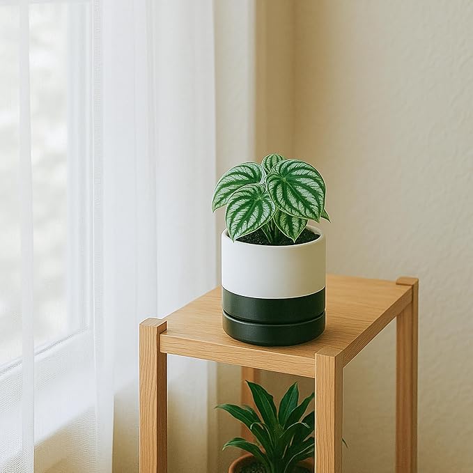 D'vine Dev 4.7 Inch Ceramic Planter Pot with Drainage Hole and Saucer, Indoor Cylinder Round Planter Pot, Layered Monochrome Black & White, 94-O-B-L