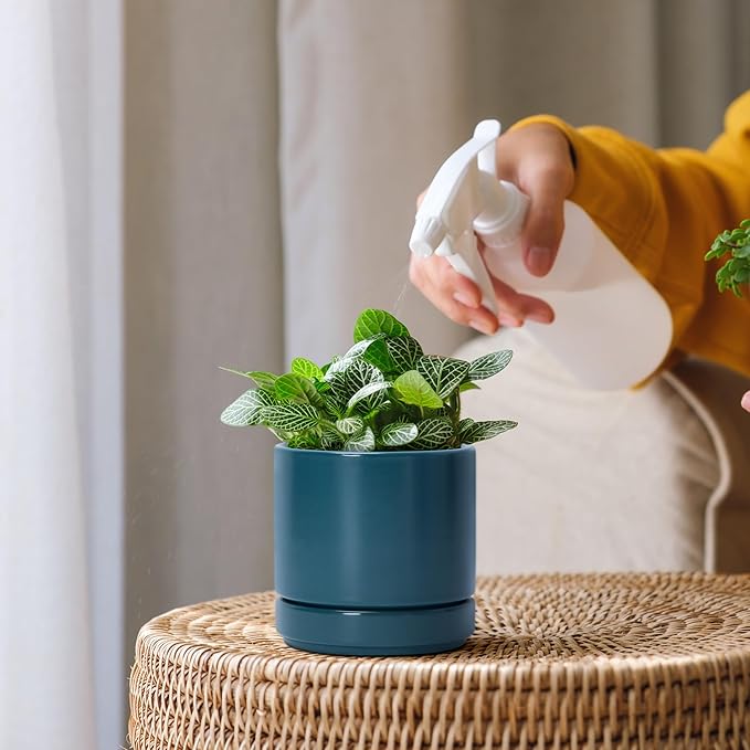 D'vine Dev Set of 2 Plants Pots, 4.7 Inch Ceramic Planter Pot for Plants with Drainage Hole and Saucer, Teal, 94-V-B-9