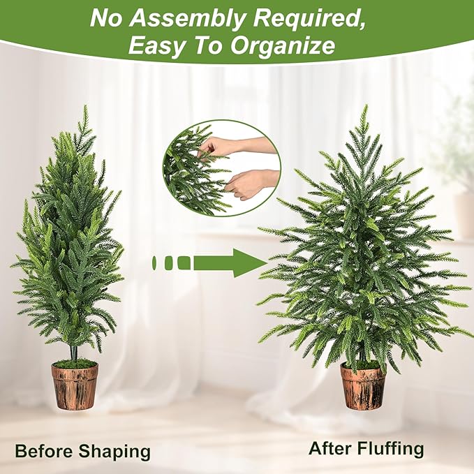2FT Norfolk Pine Tree with Pot - Tabletop Christmas Tree with Real Touch PE Branch Tips for Front Porch Kitchens Home Indoor Outdoor Xmas Decor