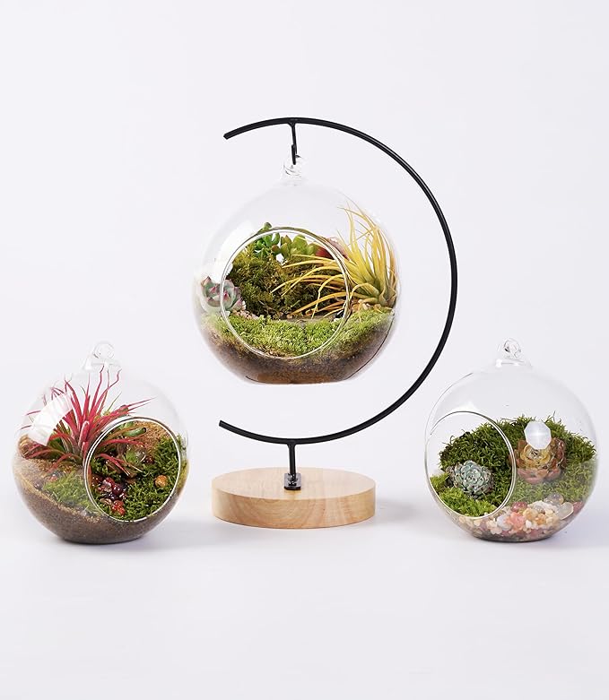 15-Piece Terrarium Kit with Live Moss – DIY Glass Globe Set with Tools, Soil, Stones & Spray Bottle – Indoor Mini Garden Gift for Plant Lovers, Home Decor & Zen Craft