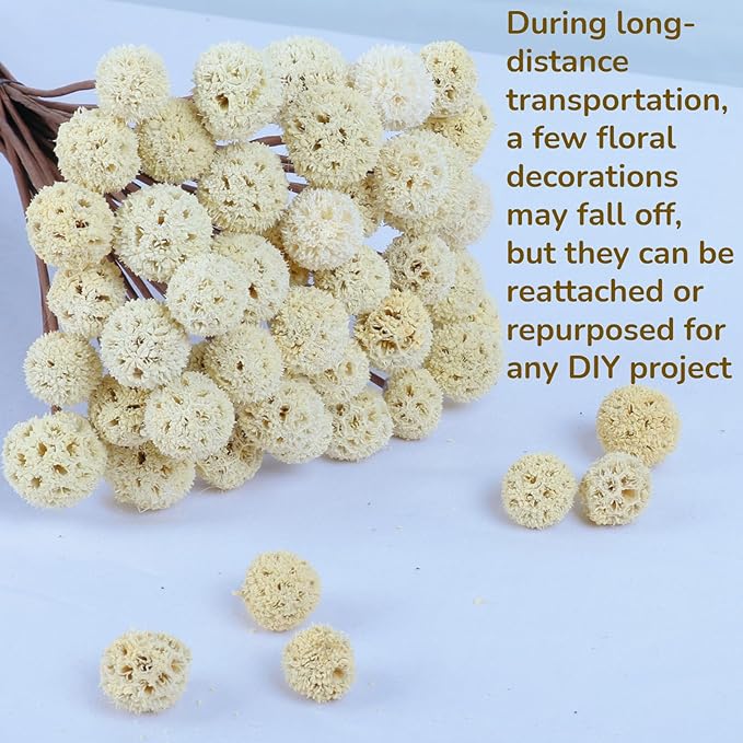 30 PCS Natural Dried Craspedia Billy Balls Flowers, 17” Dried White Flowers Buttons Bouquet for Vase Floral Arrangements Wedding Table Centerpieces Party DIY Home Decor, Christmas Tree Decoration