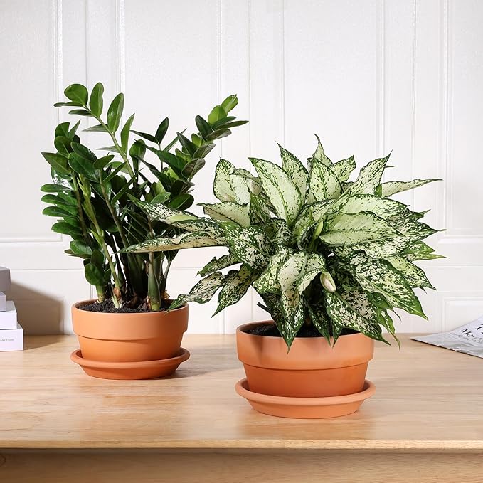 INGOFIN 8 Inch Terracotta Shallow Pots Set with Saucer - Ceramic Clay Pots with Drainage Hole, Terra Cotta Pot for Plants for Indoor Outdoor Plants, Set of 2