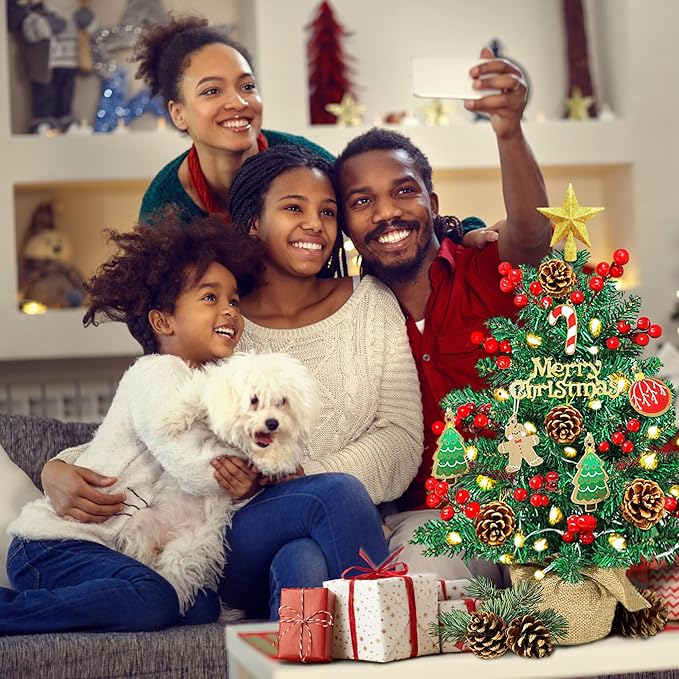 2FT Tabletop Mini Christmas Tree, 24 Inch Small Artificial Christmas Tree with Warm LED Lights, Star Treetop, DIY Ornaments, New Xmas Pine Tree Decoration for Kid Friend Family Holiday Home Office