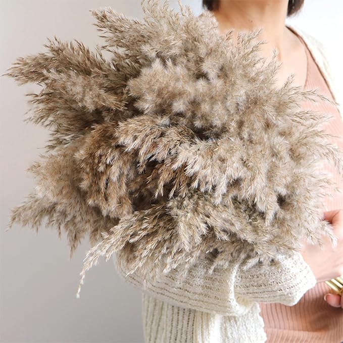 30 Stems Home Decor - Natural Dried Pampas Grass, Fluffy Brown Pompas Grass, Dry Small Pampas Bulk for Living Room Table Decor, Boho Decor, Party Wedding Decor , Gift(17.7 inch, 30 Brown )