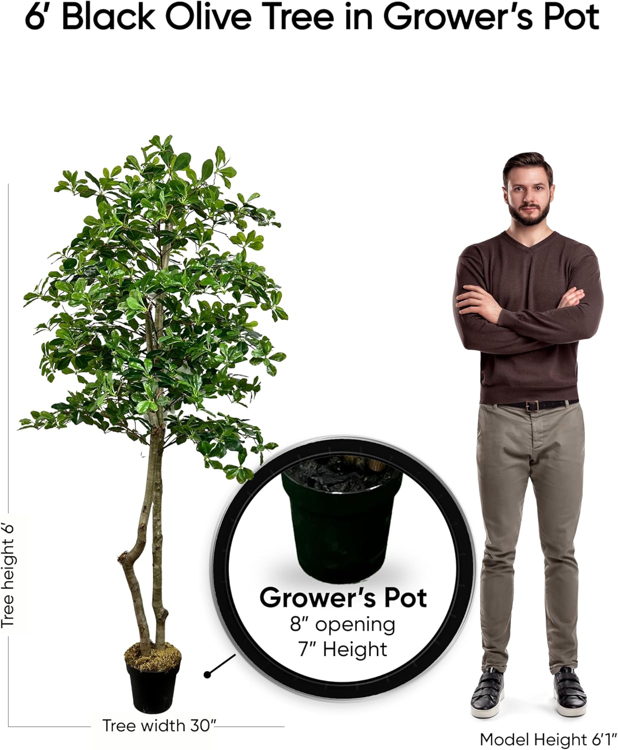 Cypress & Alabaster Handmade 6ft Italian Black Olive Leaf Artificial Tree with Ethically Sourced Real Wood Trunks, Hypoallergenic, 6-Foot, Green
