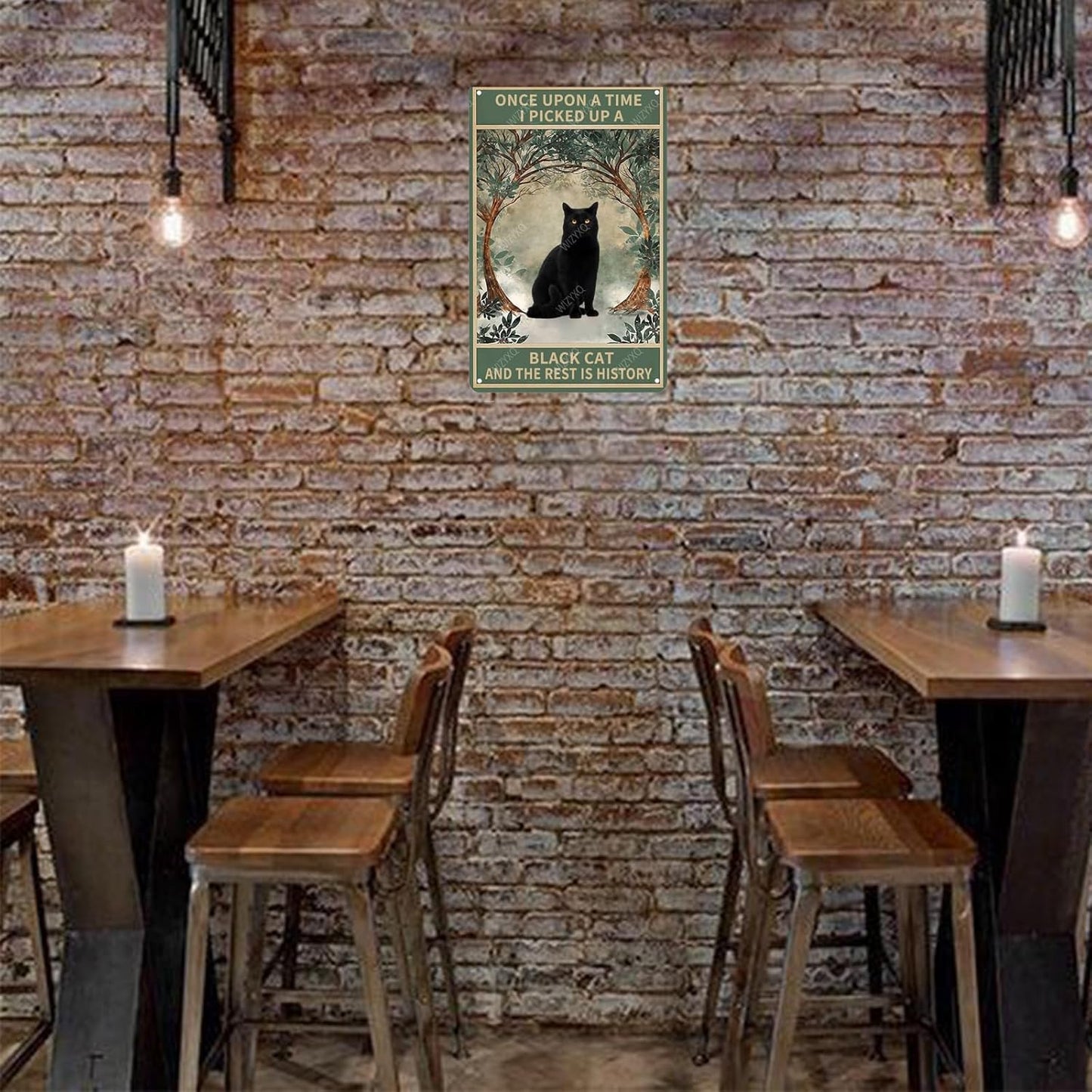 Metal Signs Once Upon A Time I Picked Up A Black Cat And The Rest Is History Vintage Tin Sign for Home Office Kitchen Bar Cafe Garden Wall Decor 12x8 Inch