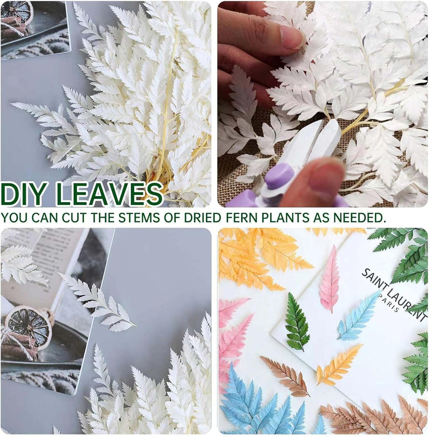 Fern Preserved White Ferns, 10 PCS Dried Boston Fern with Stems, 15'' Real Leaves for Dried Flowers Arrangements Wedding Garland Bouquets Home Party Centerpiece Table Decorations Vase Filler