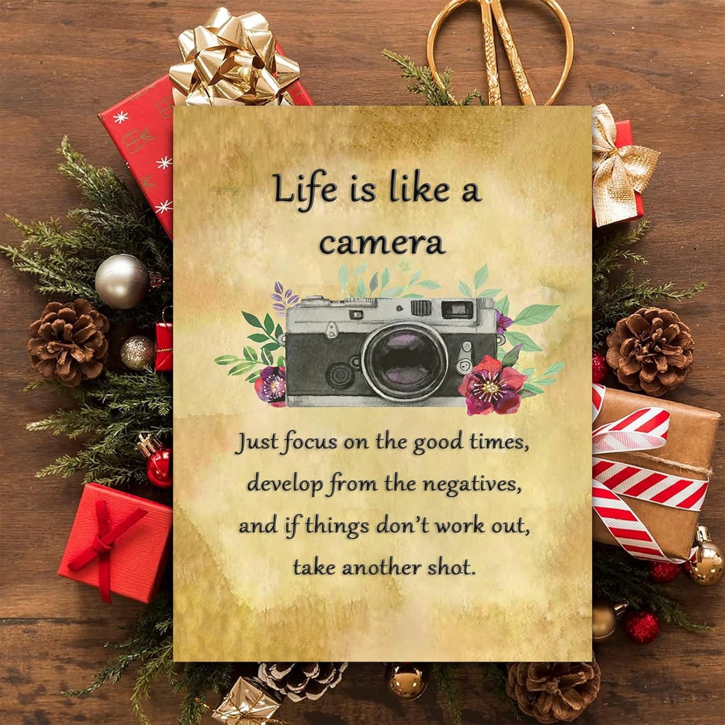 Life is Like a Camera Wall Art Master Motivational Poster Inspirational Print Gift for Photographer,Friend Wall Decor for Home for Home Décor Office Encouraging Quotes Sayings Framed 12 * 18 Inch
