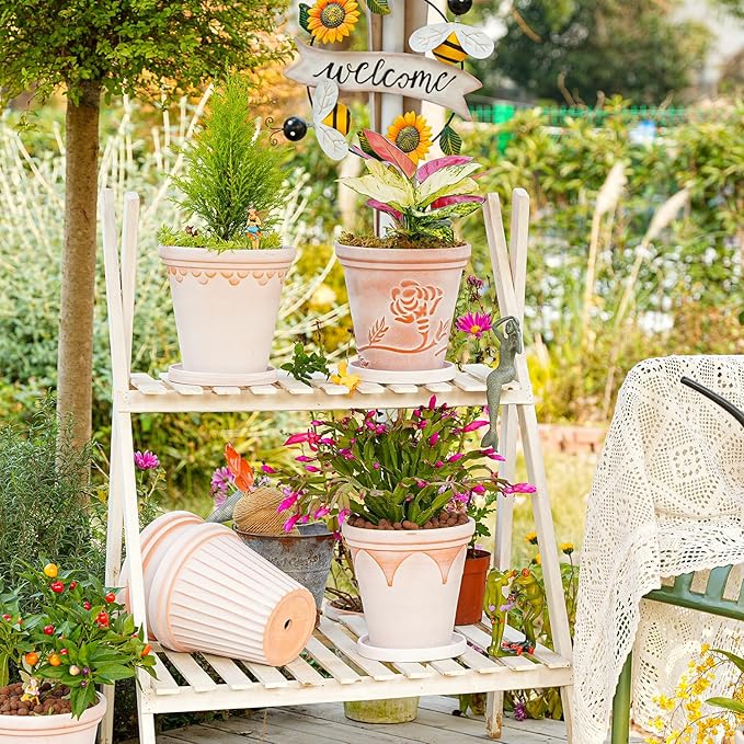 Sungmor Terra Cotta Pot Set - 3 Unique Embossed Clay Planters with Saucer & Drainage, 8 Inch Large & Deep, Pretty Color, Ideal for Orchid, Cactus, Succulent