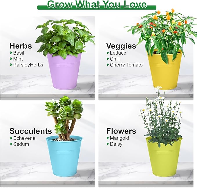 Herb Garden Planter Indoor Kit – 6 Metal Pots with 2 Trays for Windowsill & Kitchen Counter – Modern Decorative Indoor Planters for Herbs, Succulents & Small Plants