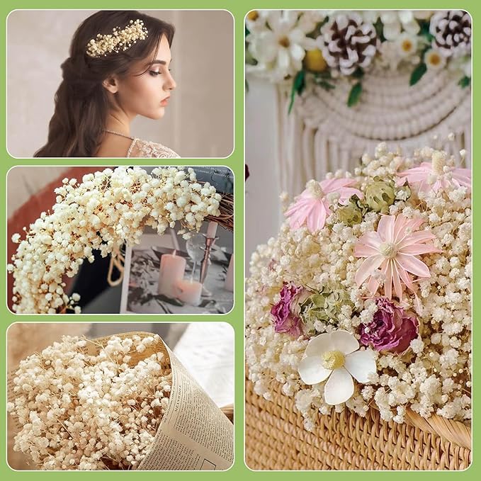 2000+ Dried Babys Breath Flowers Bulk - 17" Ivory White Dried Flower Bouquet, Real Natural Gypsophila Branches for Vase Filler, Wedding, Table Centerpiece, Home Decor, DIY Wreath Floral, Crafts