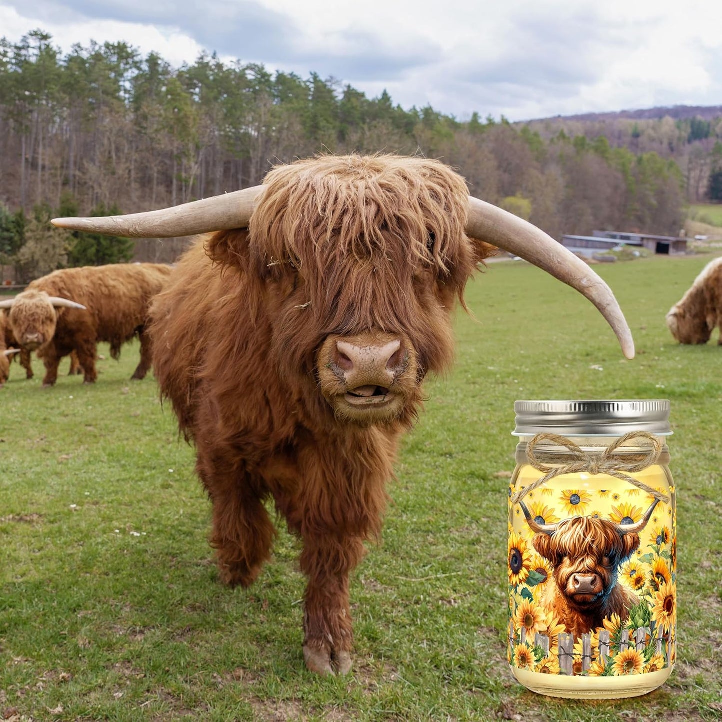 Highland Cow Gifts Highland Cow Decor Themed Gifts for Cows Lovers Birthday Christmas Gifts for Women Friend Mason Jar Night Light