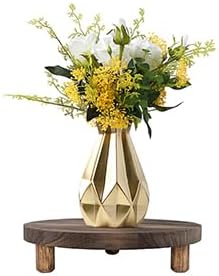 2 Pcs Wood Plant Stand Wooden Plant Stool Round Riser Display Stand Flower Pot Holder Low Plant Pot Flower Pedestal for Indoor Outdoor (Brown, 9.8 Inches)