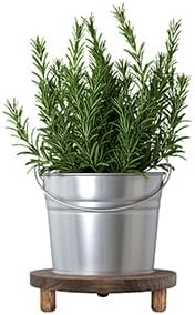 2 Pcs Wood Plant Stand Wooden Plant Stool Round Riser Display Stand Flower Pot Holder Low Plant Pot Flower Pedestal for Indoor Outdoor (Brown, 9.8 Inches)