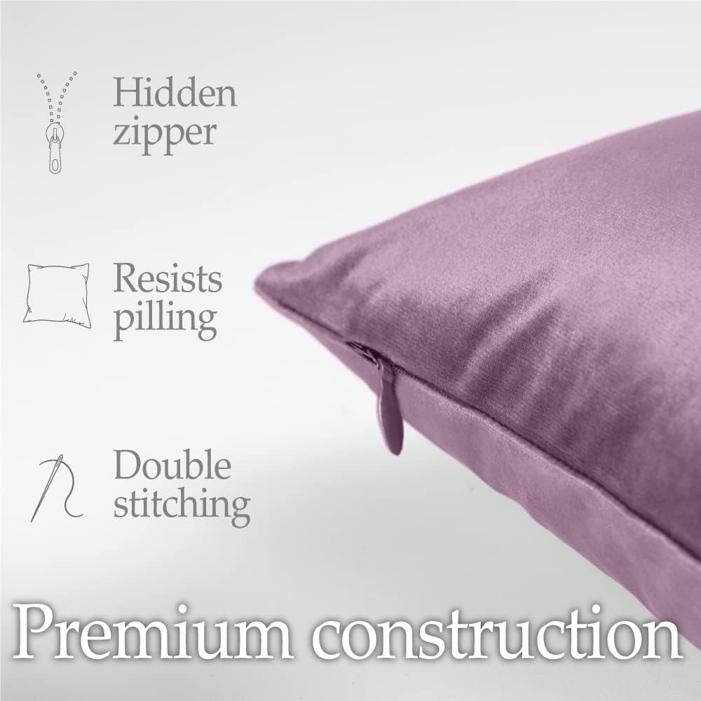 lalaLOOM Velvet Throw Pillow Covers, Set of 2, 18x18 Decorative Square Pillows Home Decor, Soft Accent Cases, Silky Machine Washable Pillowcases for Sofa, Couch, Bedroom, Living Room, Plum Purple