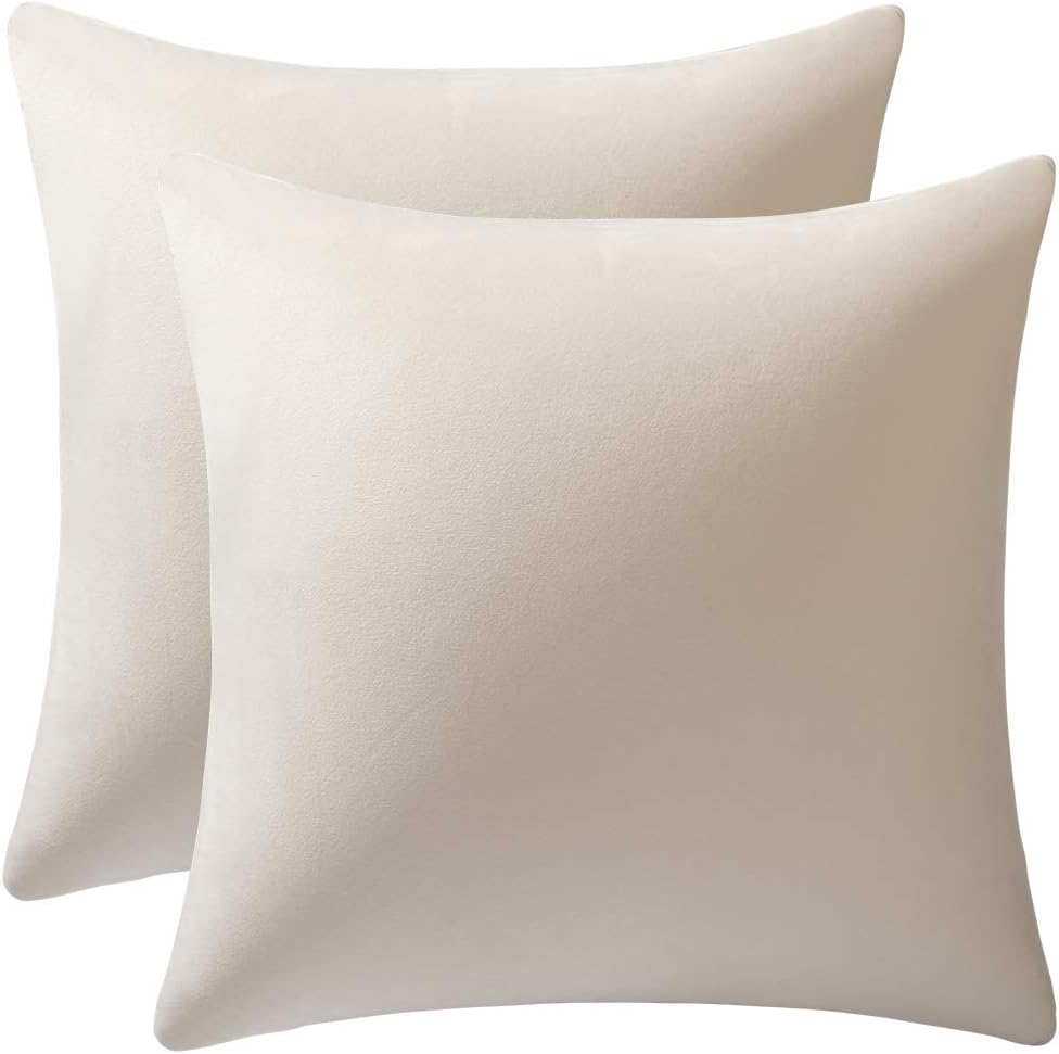 Couch Pillow Covers 22x22 Cream: 2 Pack Cozy Soft Velvet Square Throw Pillow Cases for Farmhouse Home Decor