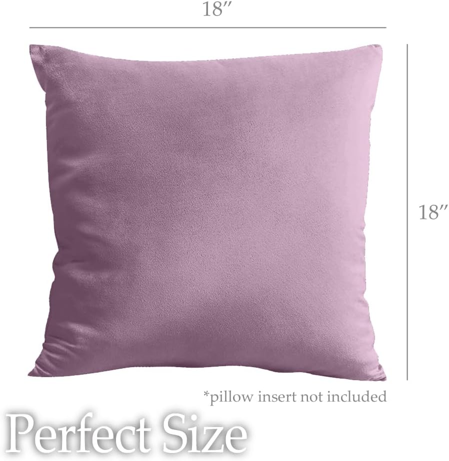 lalaLOOM Velvet Throw Pillow Covers, Set of 2, 18x18 Decorative Square Pillows Home Decor, Soft Accent Cases, Silky Machine Washable Pillowcases for Sofa, Couch, Bedroom, Living Room, Plum Purple