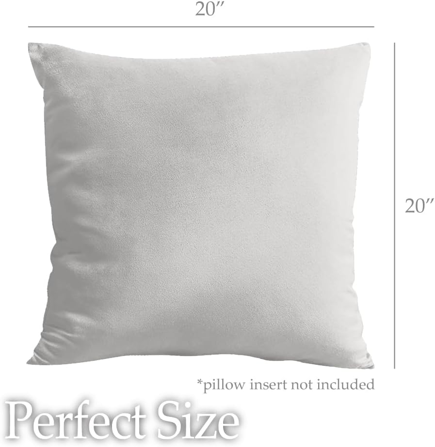 lalaLOOM Velvet Throw Pillow Covers, Set of 2, 20x20 Decorative Square Pillows Home Decor, Soft Accent Cases, Silky Machine Washable Pillowcases for Sofa, Couch, Bedroom, Living Room, Light Gray