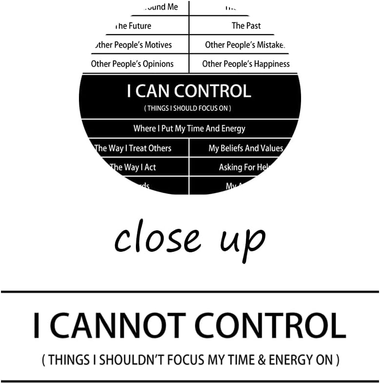 Inspirational Canvas Wall Art I Cannot Control or I Can Control Inspiring Poster Motivational Quote Canvas Print Positive Speech Canvas Painting Office Home Wall Decor Framed[24''W X 36''H]