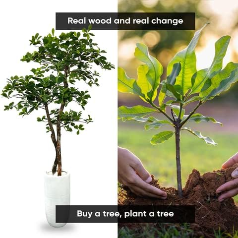 Cypress & Alabaster Handmade 5ft 3-Tier Black Olive Leaf Artificial Tree with Ethically Sourced Real Wood Trunks, Hypoallergenic, 5-Foot, Green