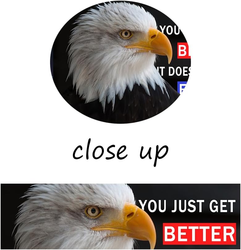 Inspirational Poster Wall Art Motivational Animal Eagle Entrepreneur Quotes Print on Canvas Painting Artwork for Living Room Workplace School Picture Wall Decoration Ready to Hang [36''Wx24''H]